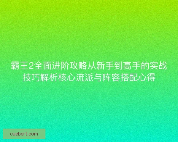 霸王2全面进阶攻略从新手到高手的实战技巧解析核心流派与阵容搭配心得